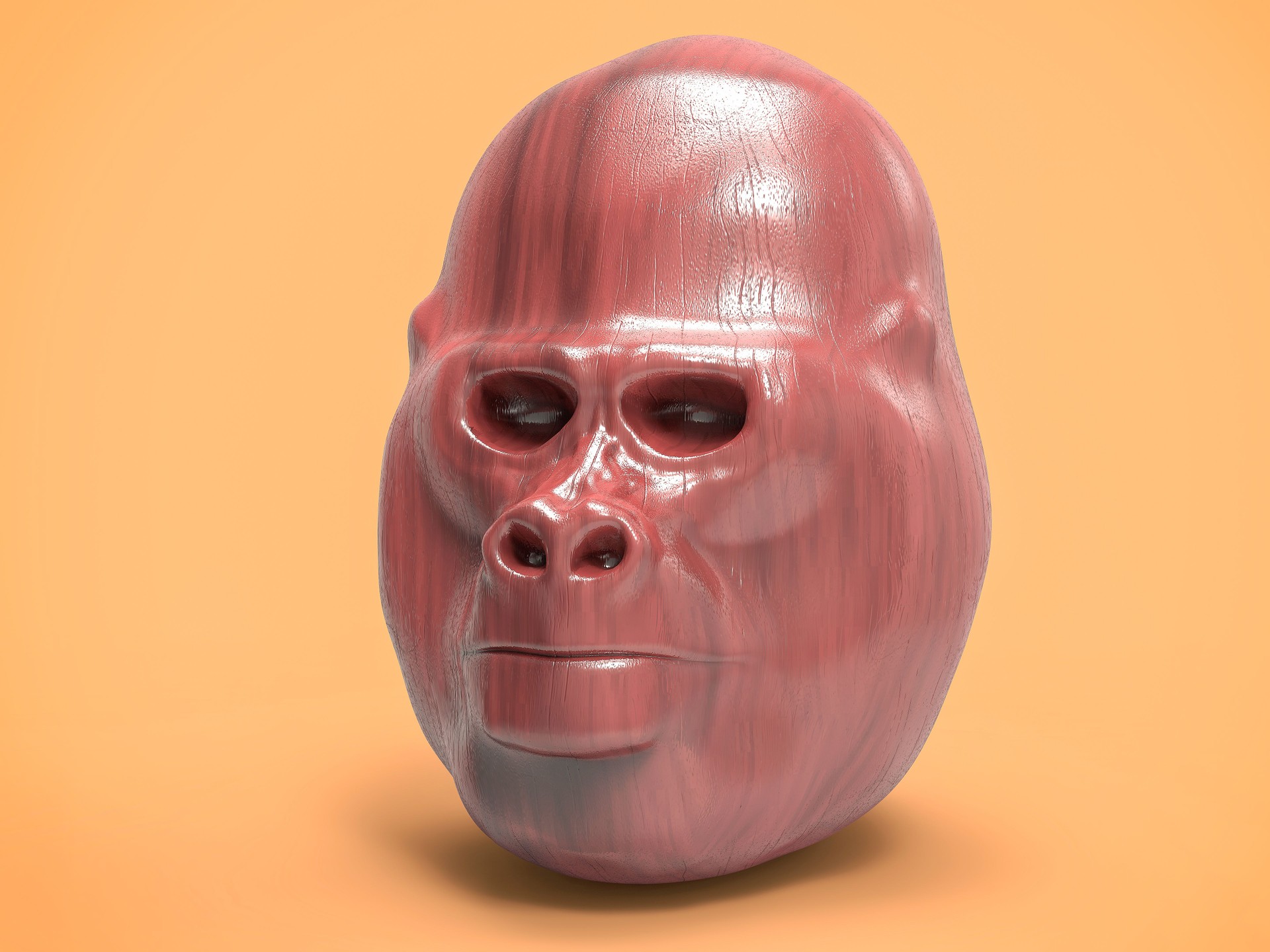 3D Isolated Gorilla