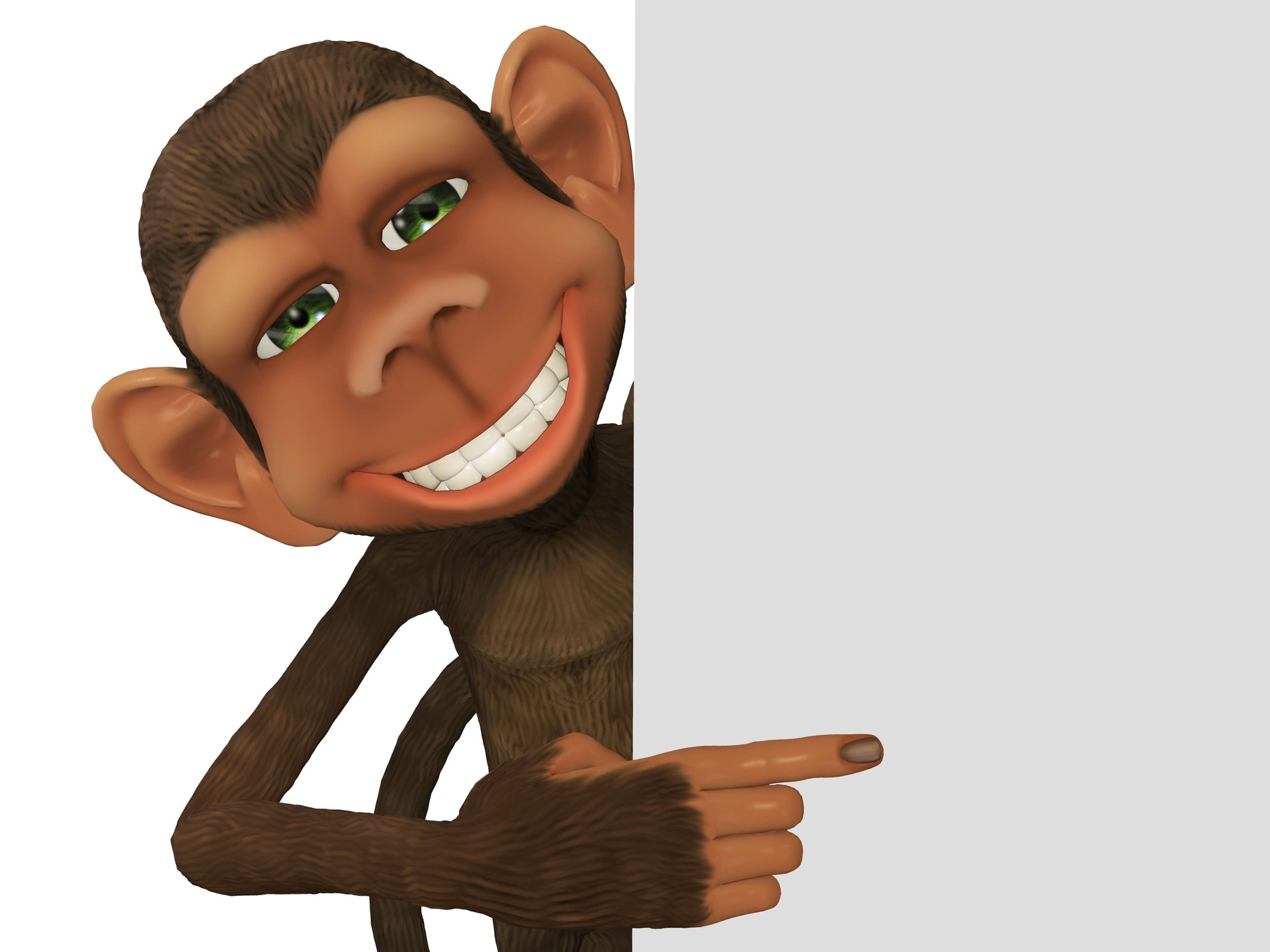 3d cartoon monkey with a blank